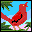 red bird icon